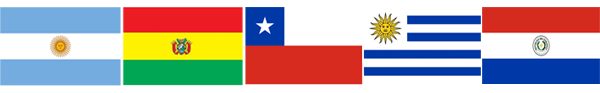 Grupo RSV Paieses